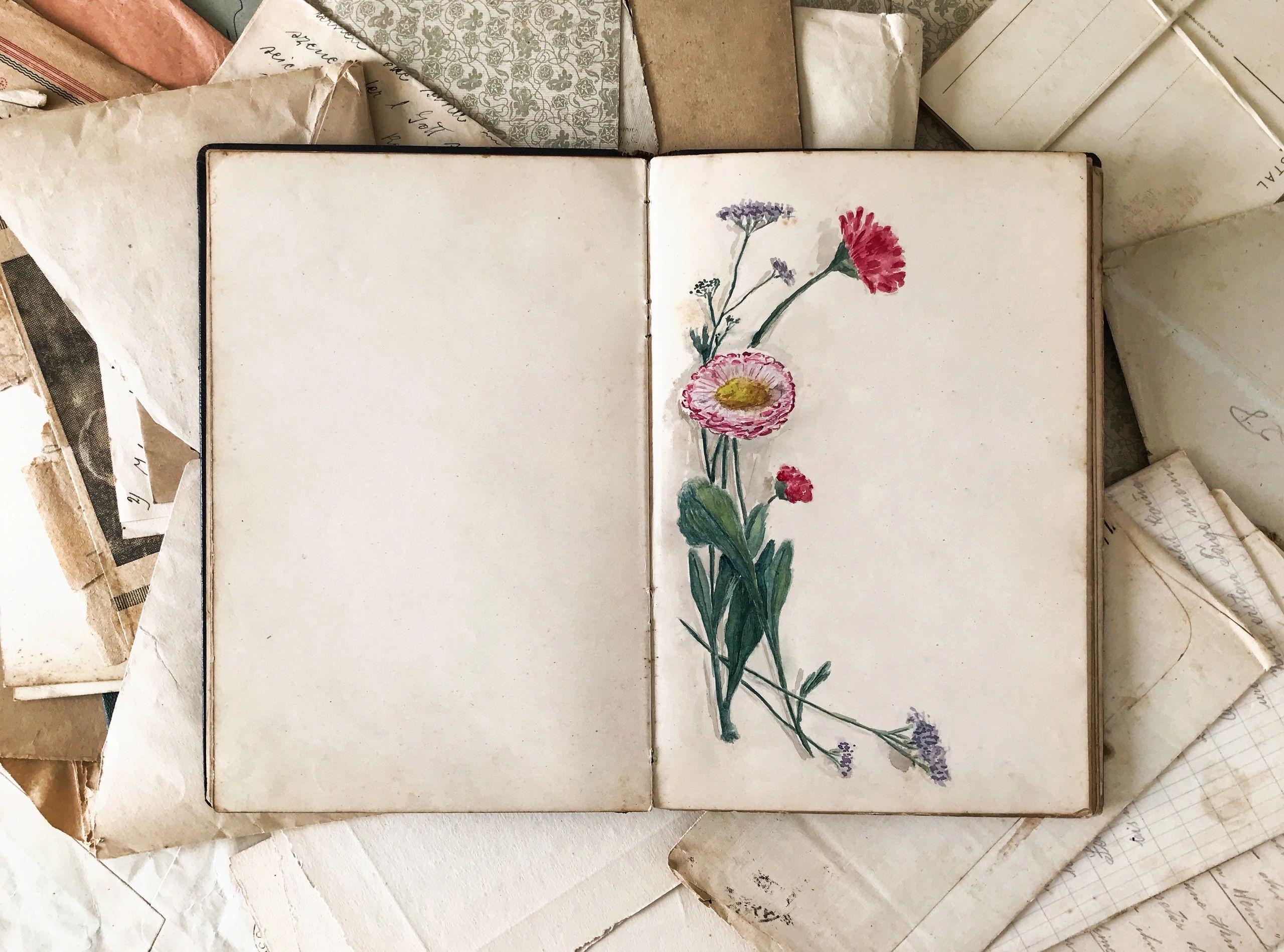 Open vintage journal with botanical illustrations and old letters