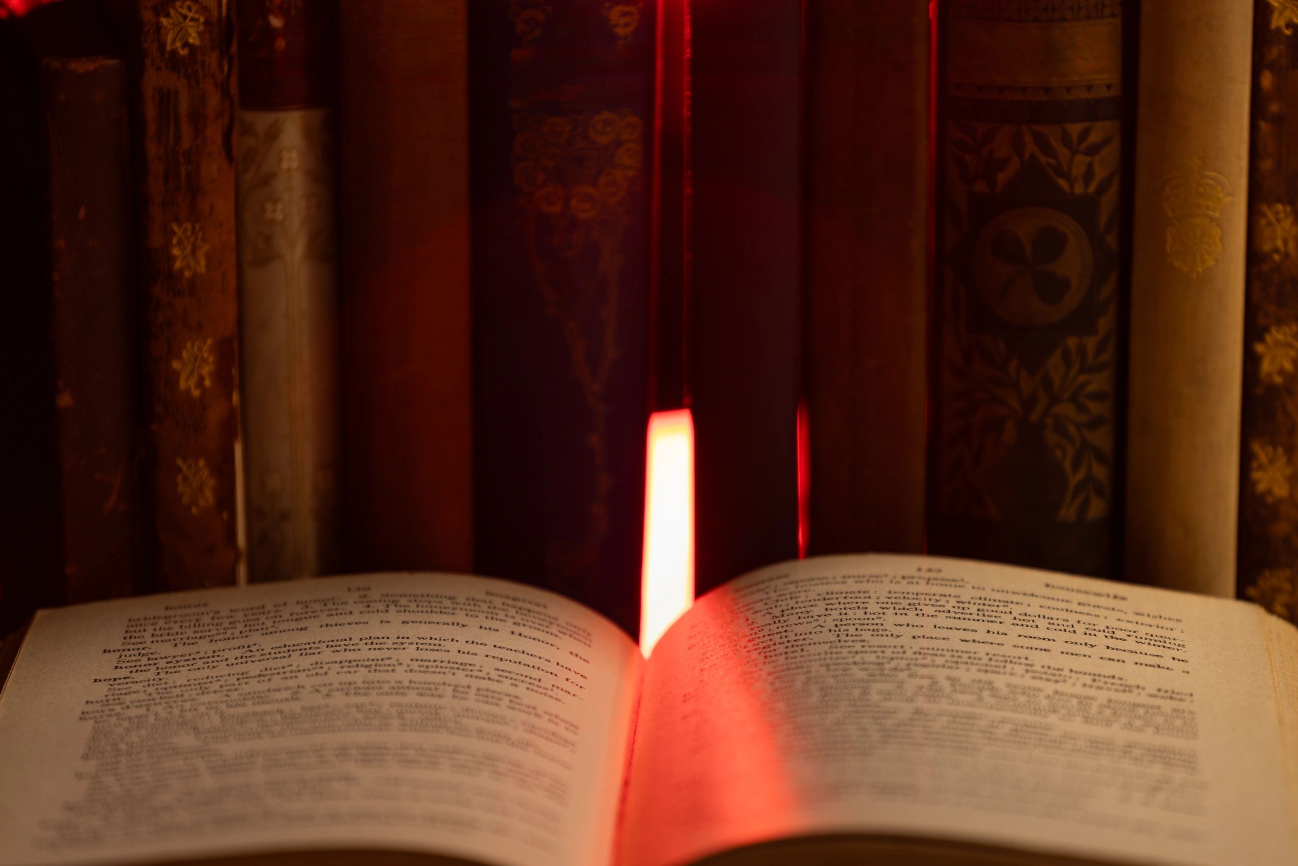 Open book lit dramatically to suggest study, mystery, and symbolic learning
